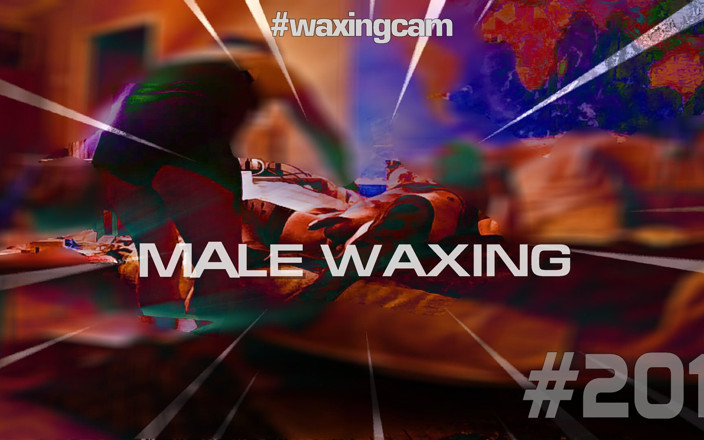 WaxingCam: #201 Pria Lagi Waxing