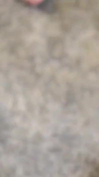 Swinger Wife Big Cock Viking Fuck