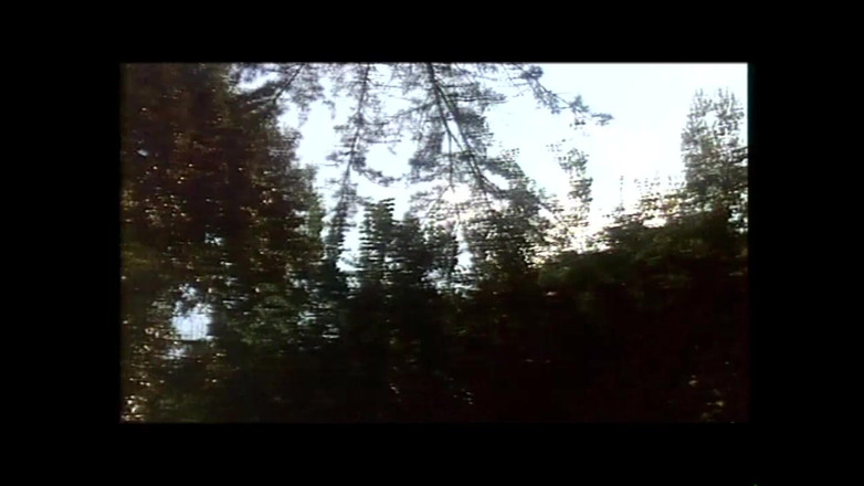 FM Video VOD: Анджелія Белла в: Заборонені задоволення - (оригінал Повний фільм Необрізаний)