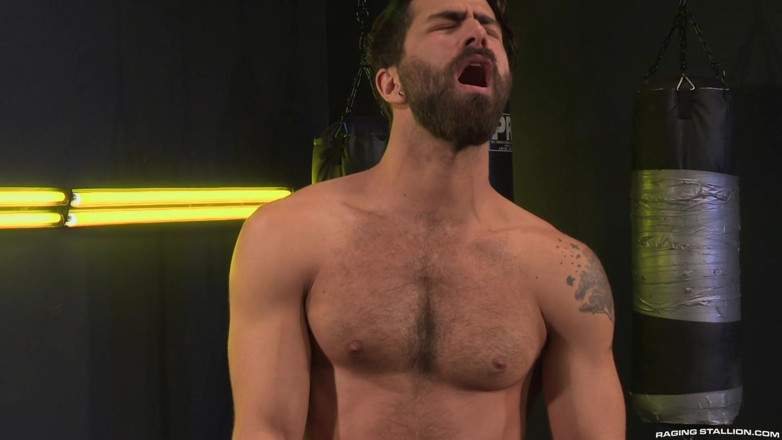 Monster Bang: Cock Fight! Match 3