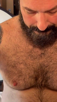 Bear Sandwich 2