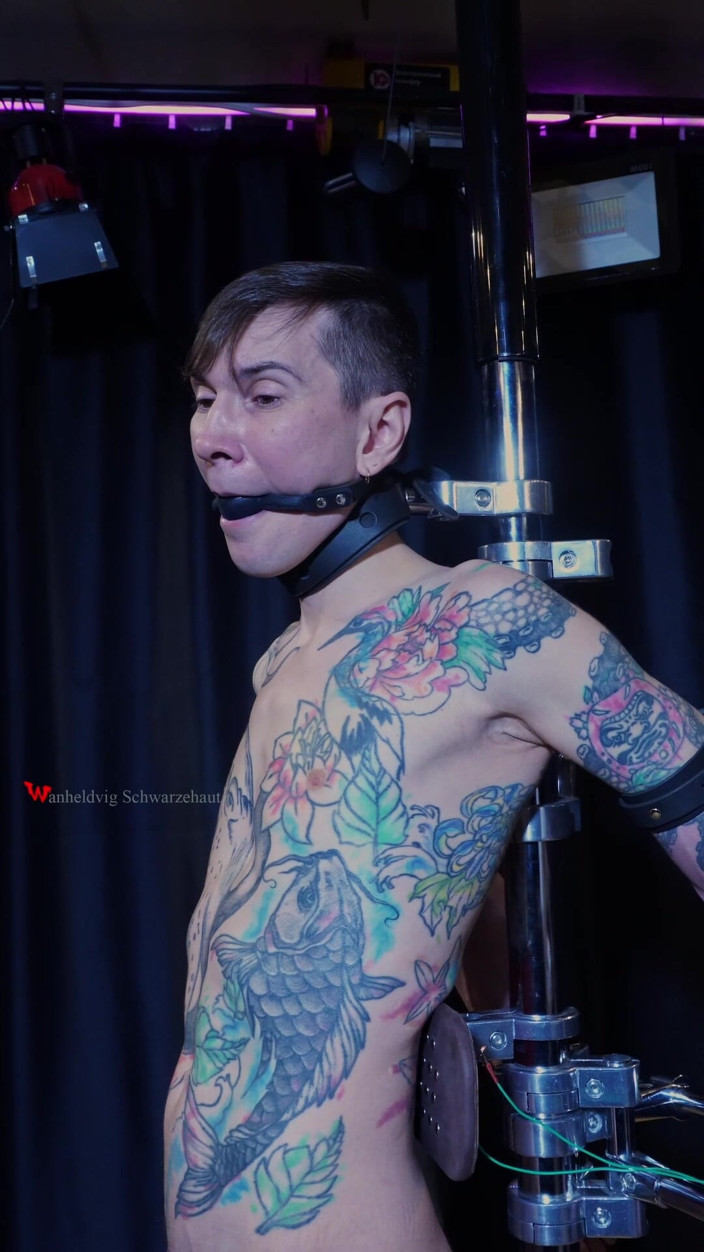 Wanheldvig: Niki elektrik araştırma kabini: seksi endişe, çok telli kıskaçlar ve özel cihaz...