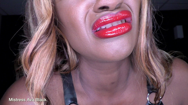 Mistress Ava Black: Beta Bait