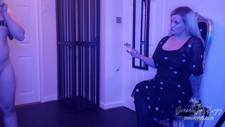 Diana Von Rigg: Slave Boy Anal Humiliation (femdom Chastity Challenge Livestream)
