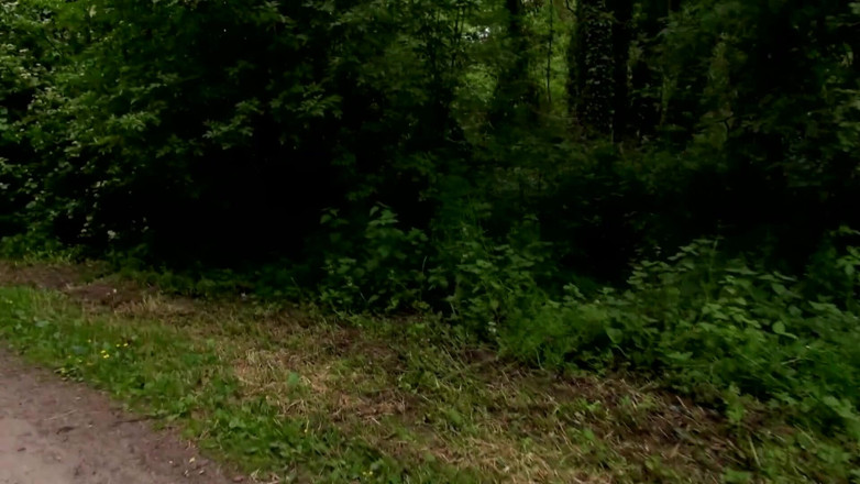 DEUTSCHLAN PORNO XXX: Wild Outdoor DP Fuck in the Woods