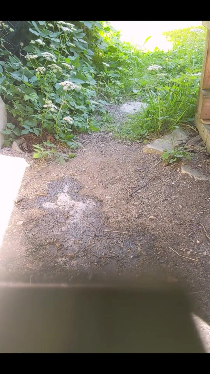 Lilux69: Akhirnya Musim Panas! Kencing Luar Baru Akan Tiba