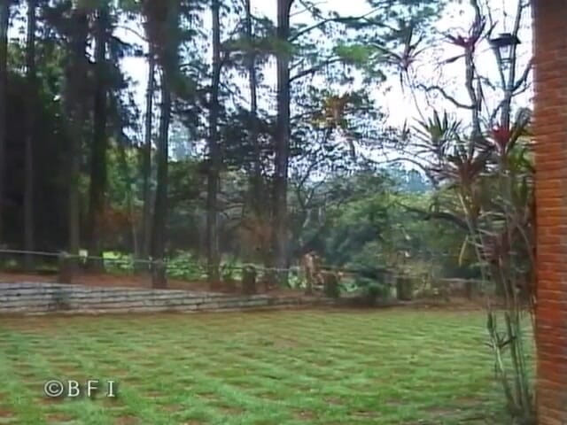 Ladyboy Paradise: Transzaken 2