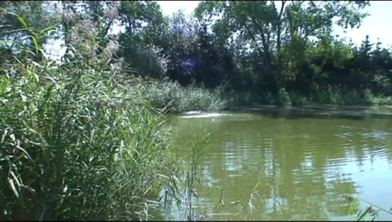 The Unforgettable: Мій вітчим любить трахати мене! (повний фільм)