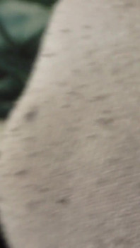Vůně moje páchnoucí ponožky, Přímo z tenisky, Ty noha Sniffer!