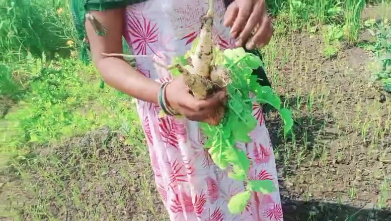 Bk Vlogs: India fue follada en el campo