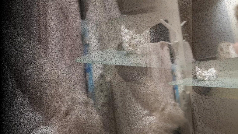 Trans fur bitch: Transweekdayfurslut montre son cul et sa bite dans des fauxfurs...