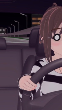 Racing Car Animation