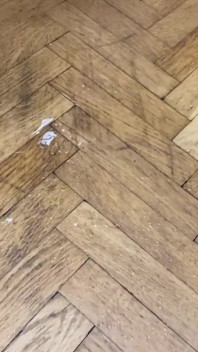 Hairy girl smoking then pissing