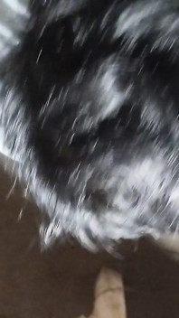 Garoto chupando amigos, pau do boquete vídeo