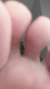 Rub You