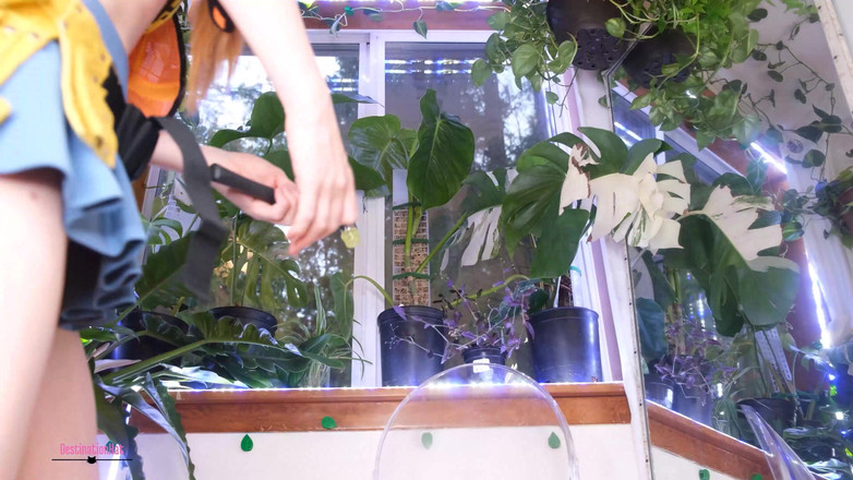 Destination Kat: Строительство Kat Service