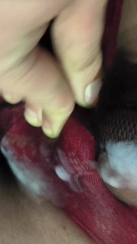 Juicy Cumshot Through Patterned Floral Pantyhose
