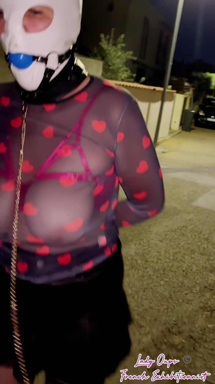 Lady Oups: On a Leash Like a Female Pet with Hood, Gag,...