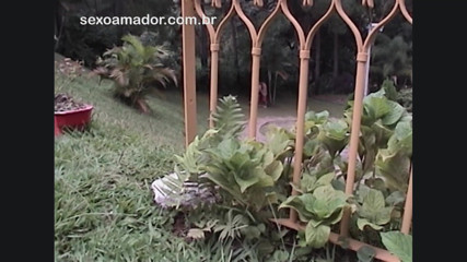 Amateurs videos: Gadis hot nyepong kontol temannya di taman
