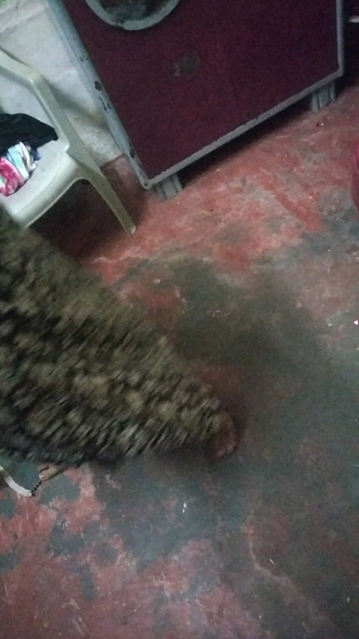 Tamil lesbian: Scene del dottore - dietro le riprese