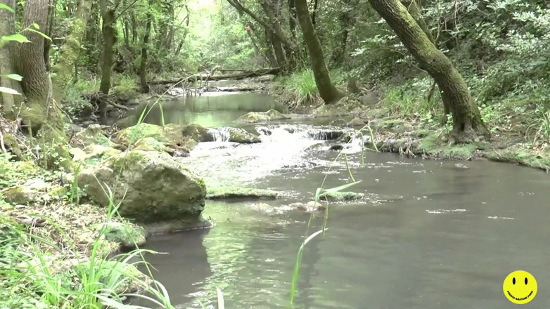 French Amateur Porn: 32-jährige französische schlampe arsch am fluss gefickt
