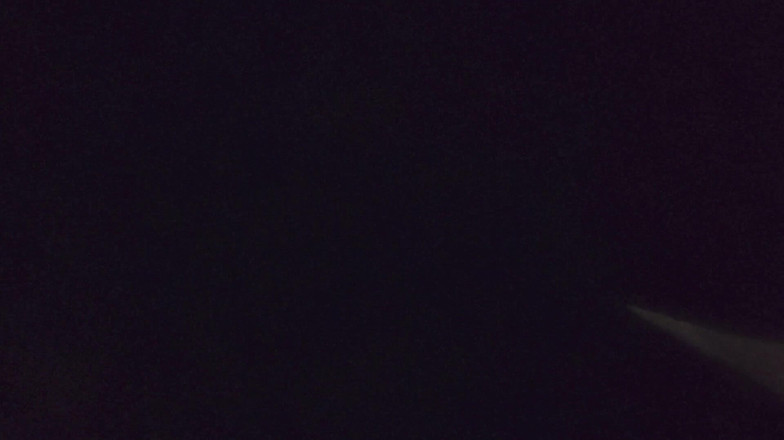 Rishi: Devar ji dheere dheere kro bhaiya jag jayegee tumhare tikus...