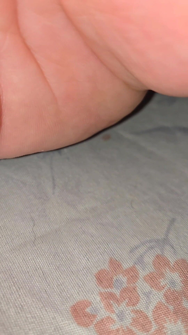 Using It as a Human Urinal All Day in January 2026 Part 4/6 (My throat is a cunt) Using It as a Human Urinal All Day in January 2026 Part 4/6 (My throat is a cunt)