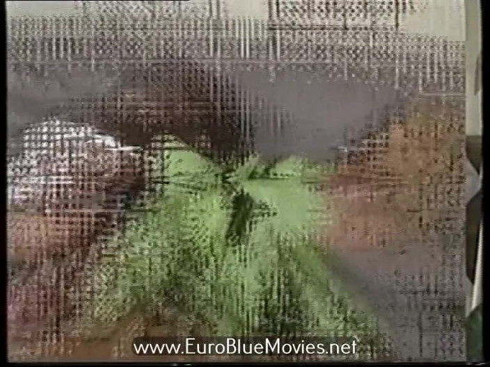 Euro Blue Movies: The Taboo Girl 1990