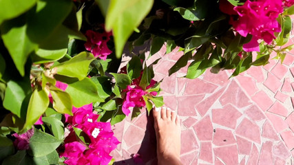 Fetish intimmedia: Fetish kaki yang indah