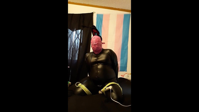 Roxxie rae page: Bondage-häschen