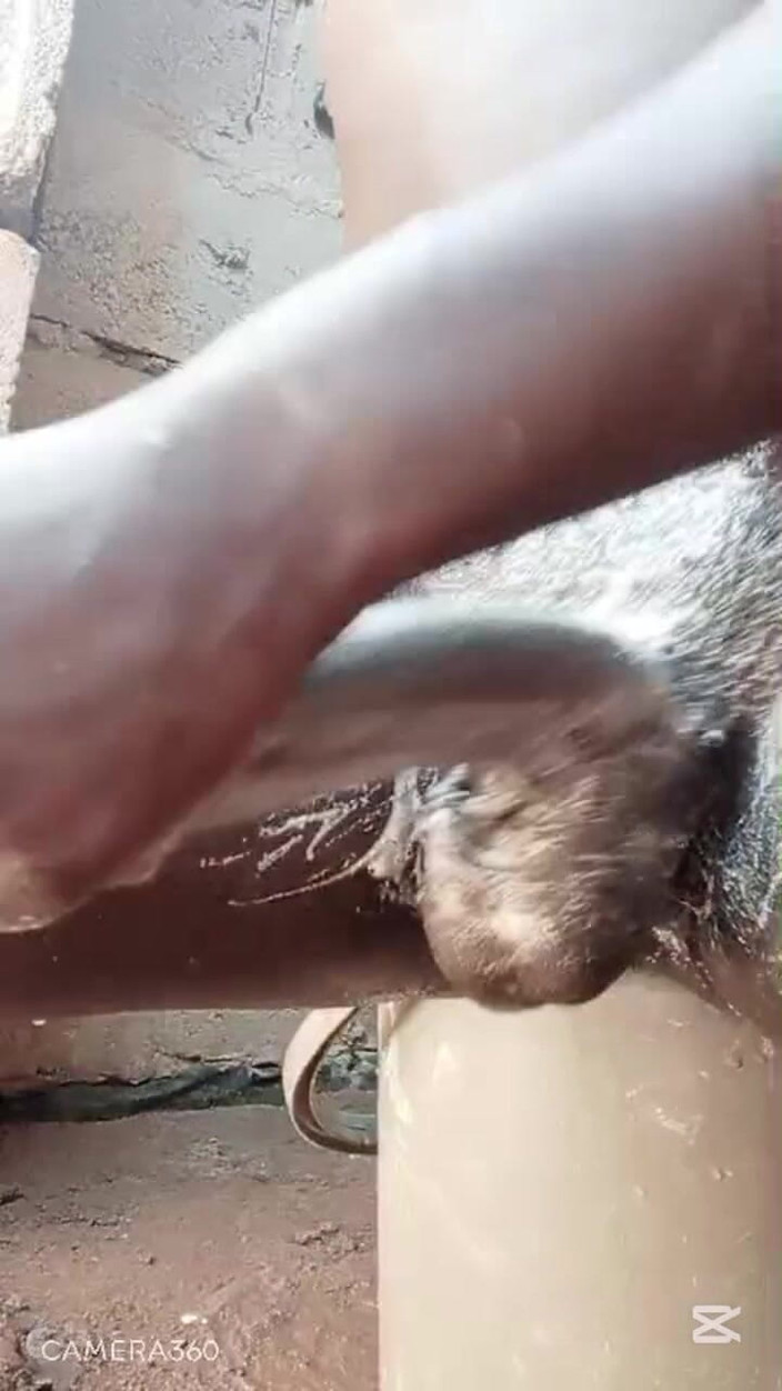 Hongi: Şimdiye kadarki en ateşli yarak masajı