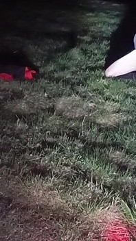 Rozbieram się i wychodzę na zewnątrz w nocy