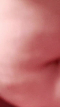Boobies