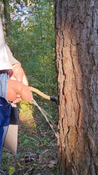 Bei einem Spaziergang im Wald, lange pissen unter einem Baum