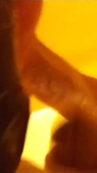 Me as a 25 Year Old Twink Cumming Huge Loads and Using Toys