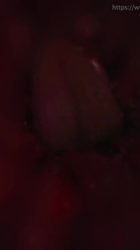 B002-2 继母和继子 第2-2集