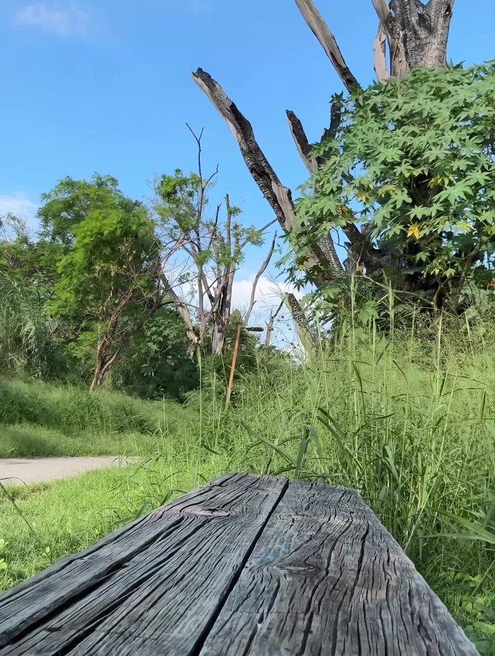 joanraay: Hledám plavbu na ulici