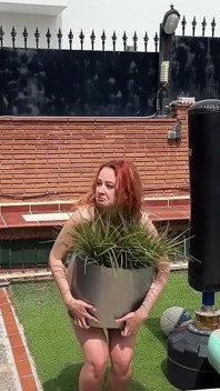Desperate Housewives. Parody on 3rd Episode