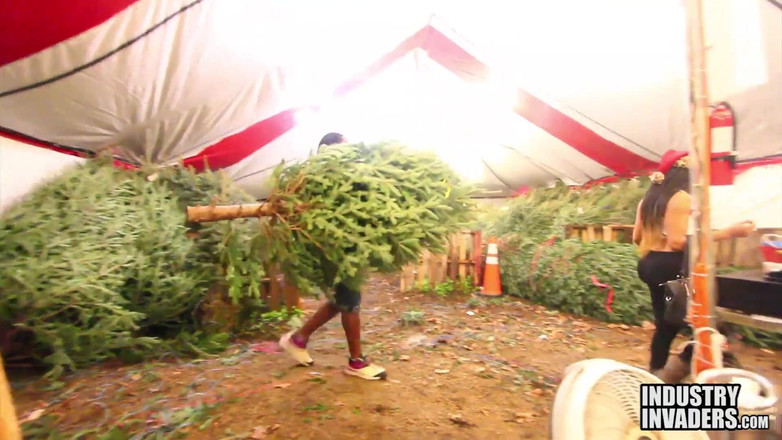 Naked Hustlers: Oh Christmas Tree