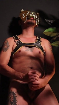 David Wilde Wank