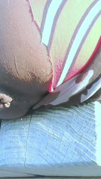 Black Asshole in Heat - Dj Buttpussy