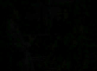 Lesbo Tube: Ohromující lesbičky si pohupují a lízají kundičky