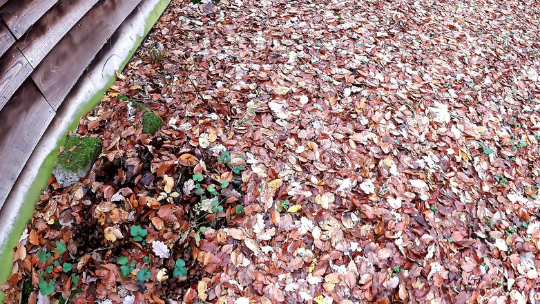 Bouncy Tits Action: Naked Behind the Hut, the Tits Punished