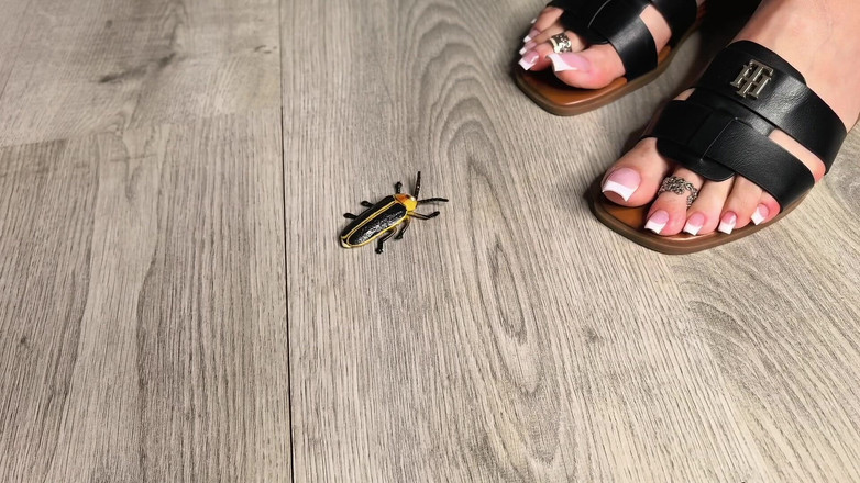 Goddess Lena: Cazador de insectos