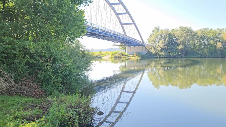 Aleman-Adult-Actor: Polkač spermií