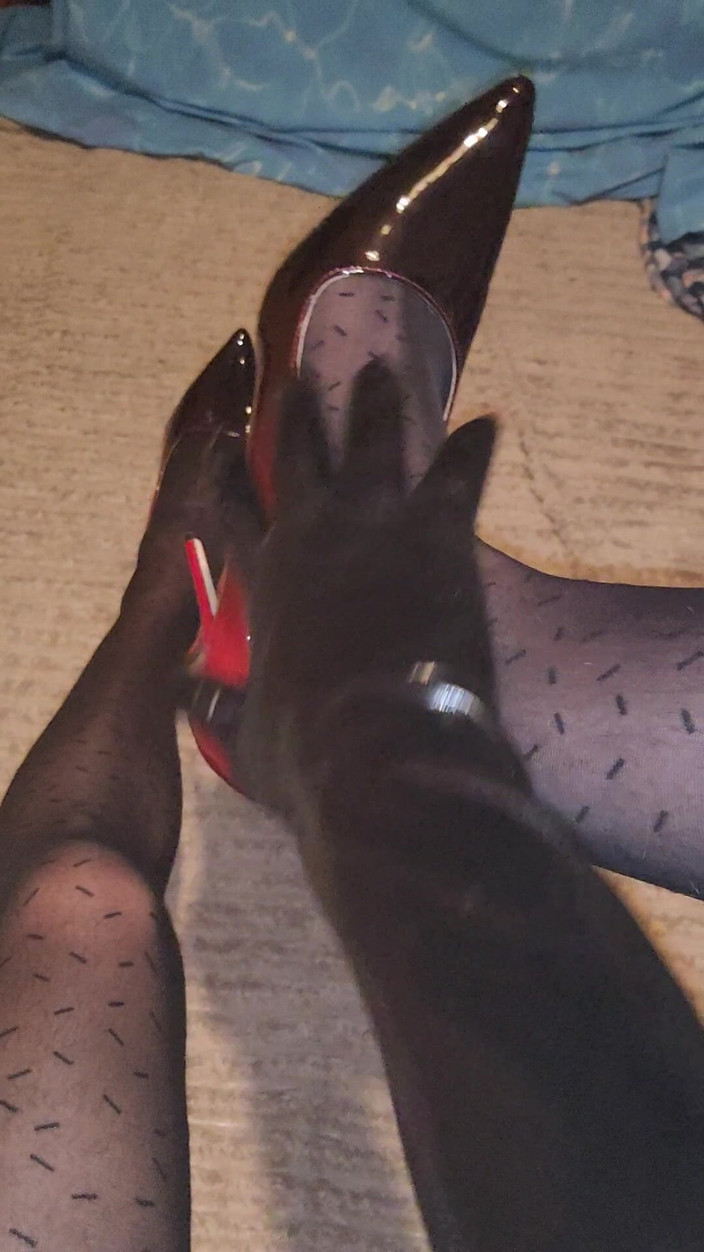 LoverPantyhose: Provocando mi patrón pantimedias negras