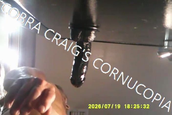 COBRA CRAIG: ใต้เสาเศร้าที่ใกล้ชิดที่สุดที่ฉันเคยเห็นกับแม่เลี้ยง