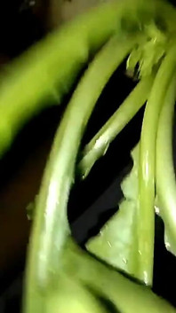 Minha buceta come legumes