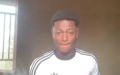 Dimi 226