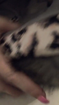 Milfycalla- I Burned My Glossy Puffer Jacket After I Was Face Fucked 173